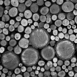 woodpile-copy